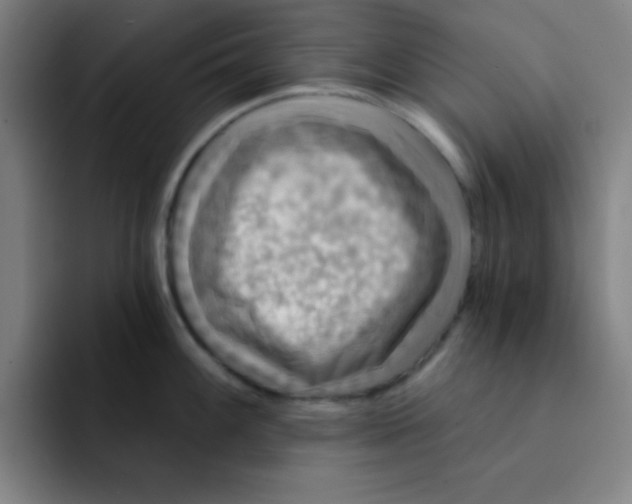 X0000091911100200709261711