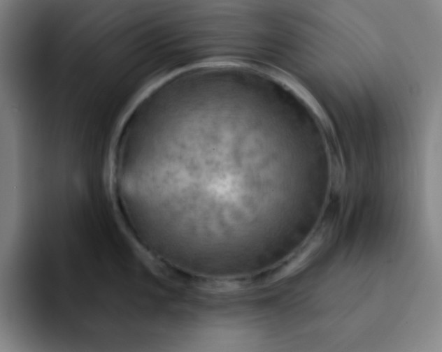 X0000091911101200709261711