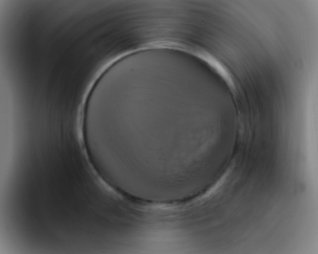 X0000091911102200709261711