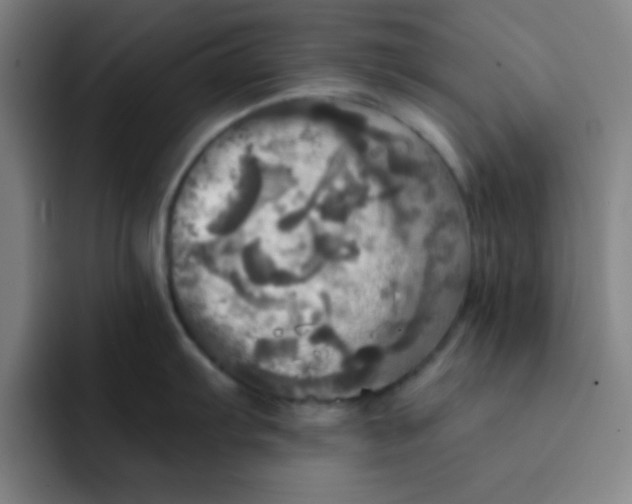 X0000091911103200709261711