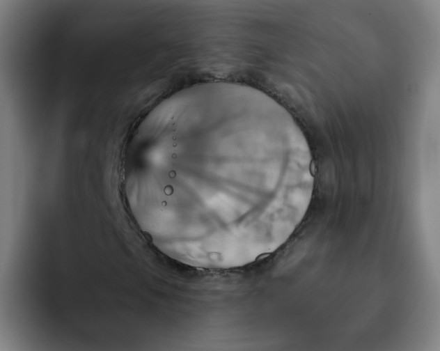 X0000091911105200709261710