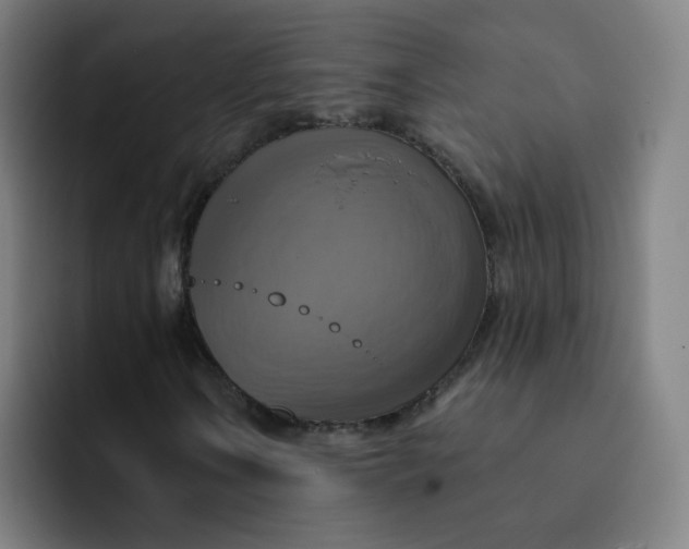 X0000091911106200709261710