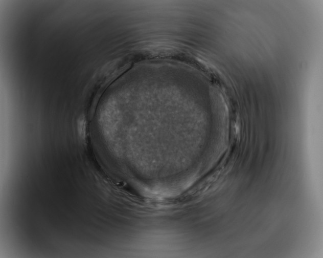 X0000091911108200709261710