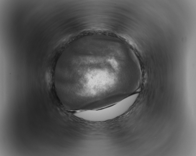 X0000091911110200709261710