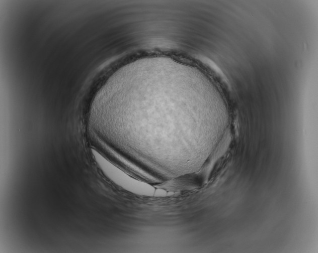 X0000091911112200709261711