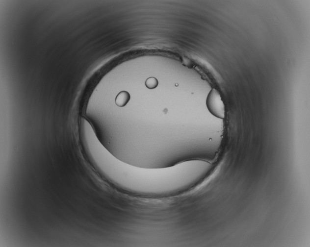 X0000091911114200709261711