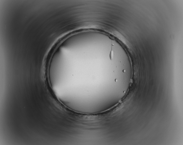 X0000091911116200709261711