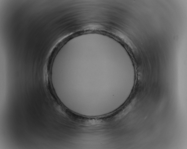 X0000091911117200709261711