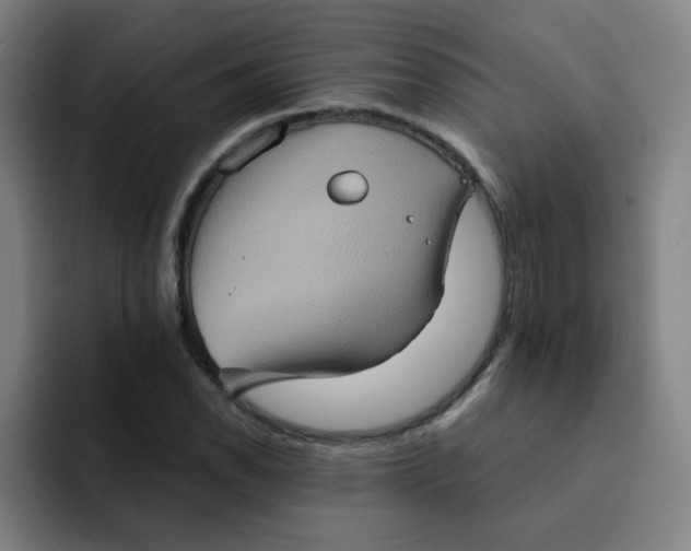 X0000091911118200709261711