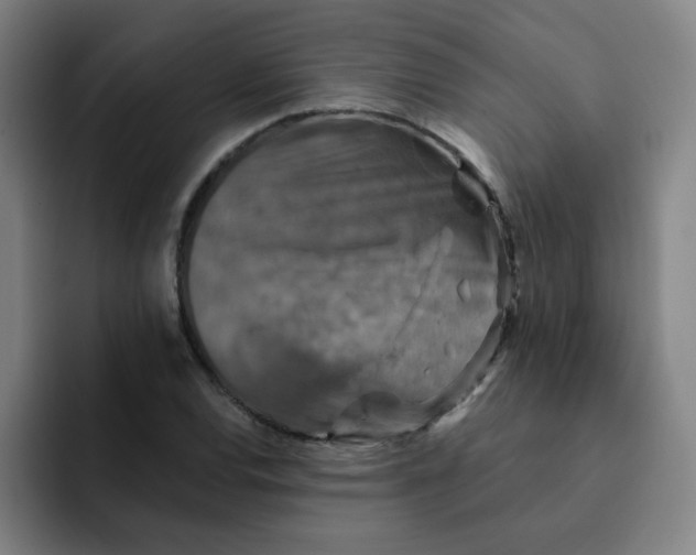 X0000091911120200709261711