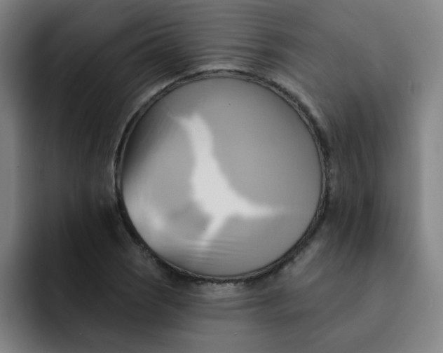 X0000091911121200709261711