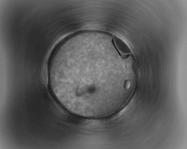 X0000091911123200709261711