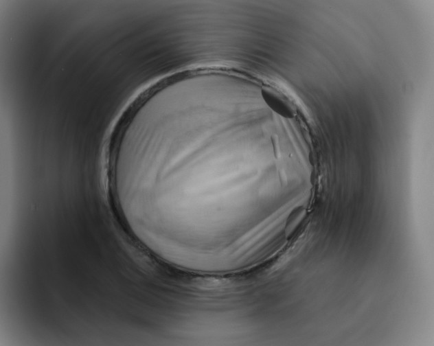 X0000091911124200709261711