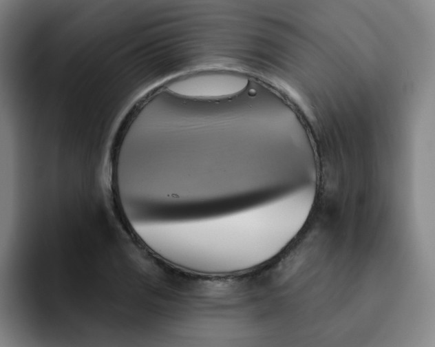 X0000091911125200709261711