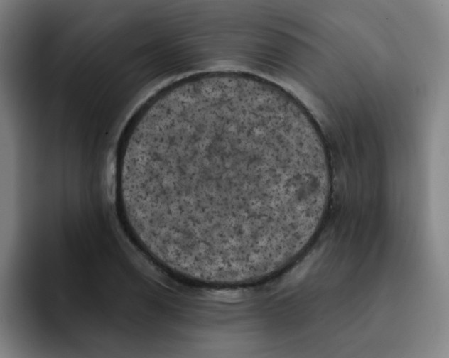 X0000091911126200709261711