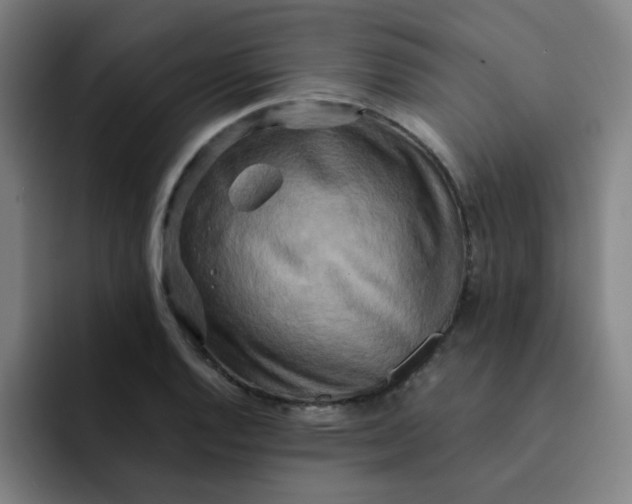 X0000091911128200709261711