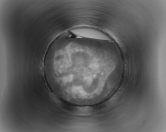 X0000091911129200709261711