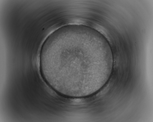 X0000091911130200709261711