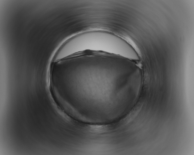 X0000091911132200709261711