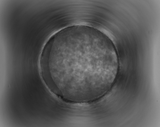 X0000091911133200709261711