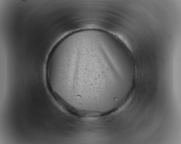 X0000091911134200709261711