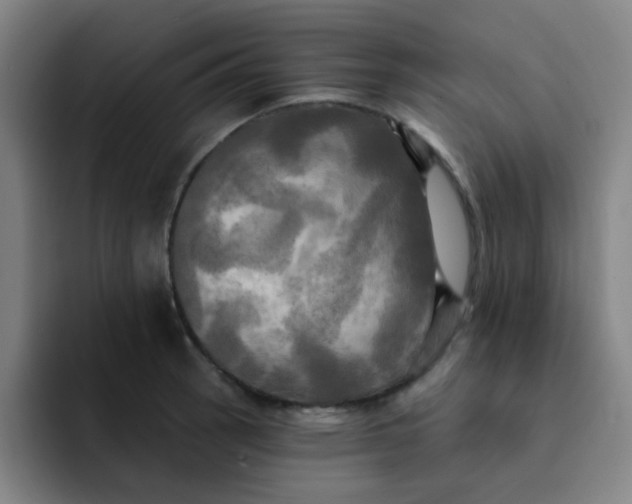 X0000091911137200709261711