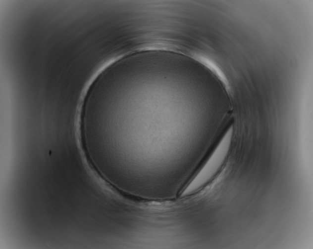 X0000091911138200709261711