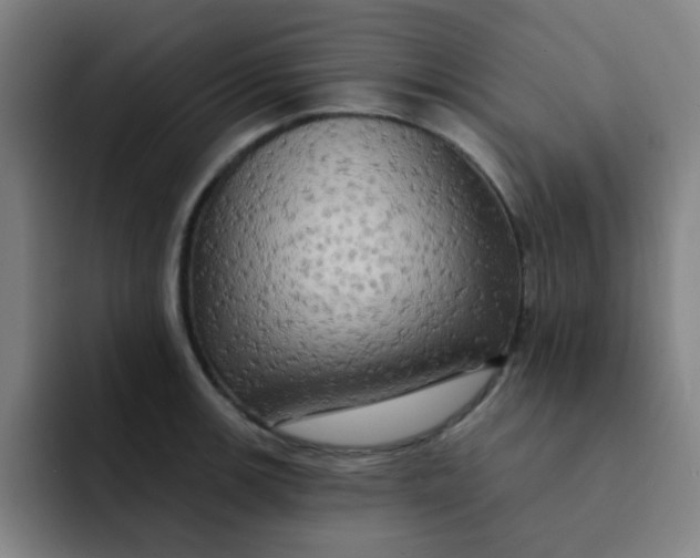 X0000091911139200709261711