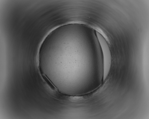 X0000091911140200709261711