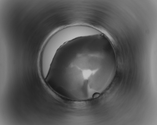 X0000091911142200709261711