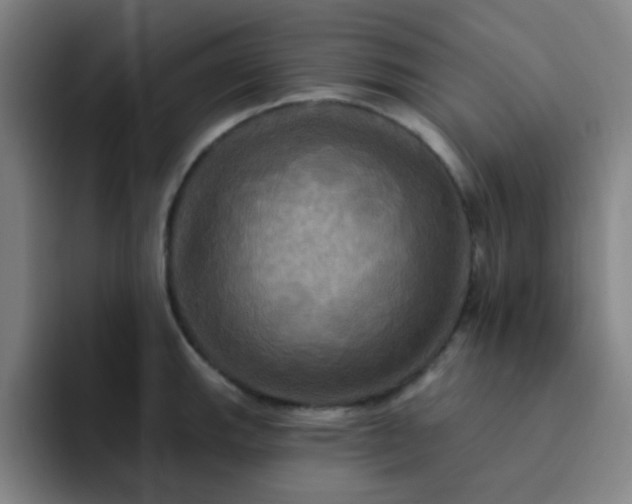 X0000091911143200709261711