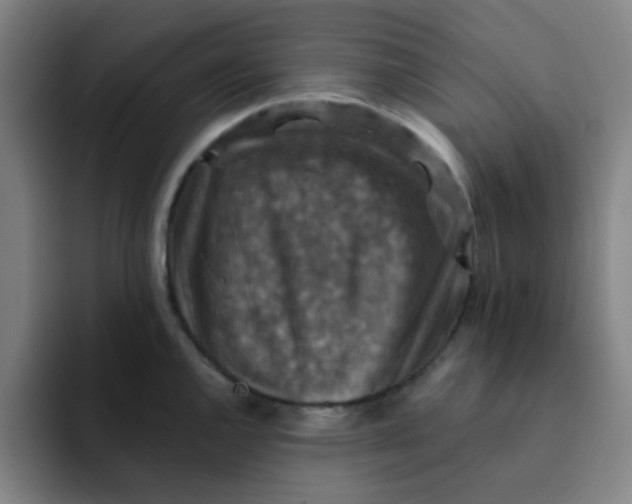 X0000091911144200709261711