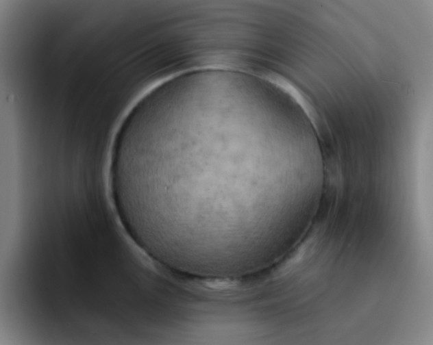 X0000091911147200709261711