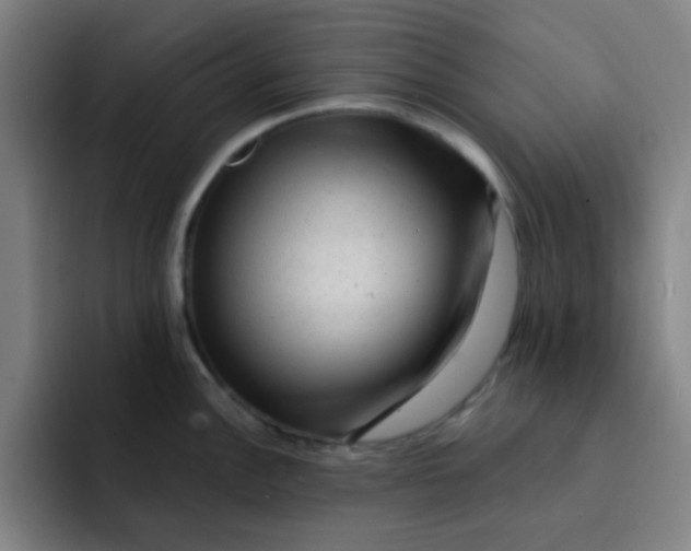 X0000091911148200709261711