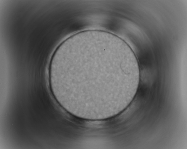 X0000091911150200709261711