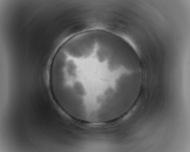 X0000091911151200709261711