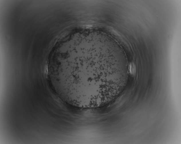 X0000091911155200709261710