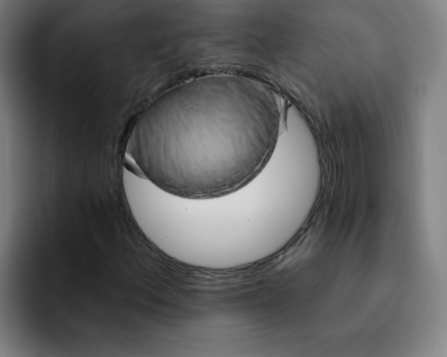 X0000091911156200709261710