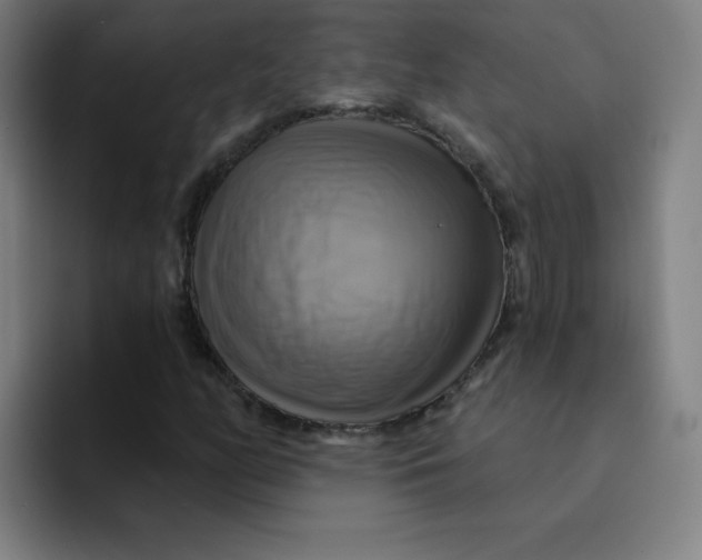 X0000091911158200709261710