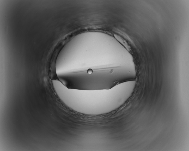 X0000091911160200709261710