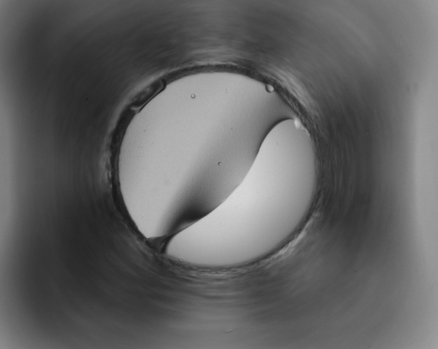 X0000091911164200709261710