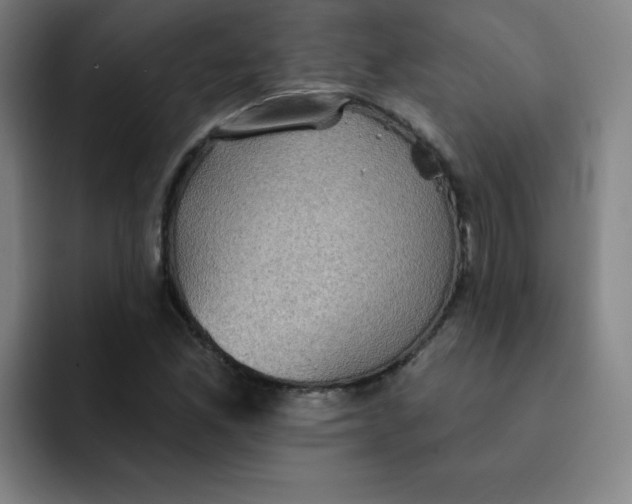 X0000091911165200709261710