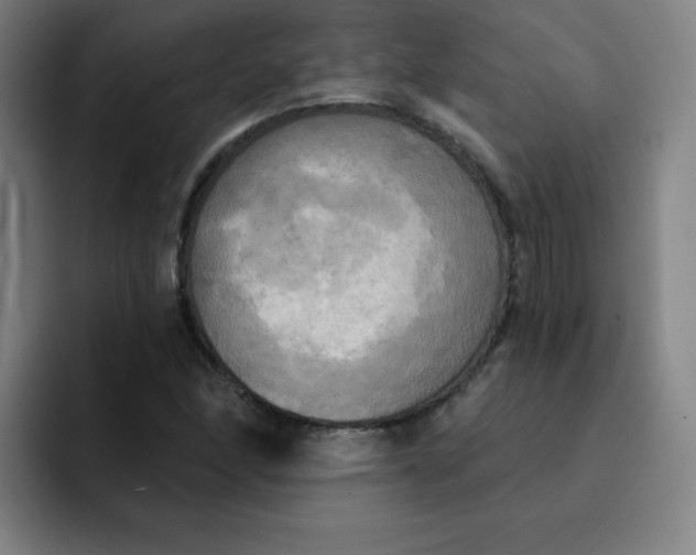 X0000091911166200709261710