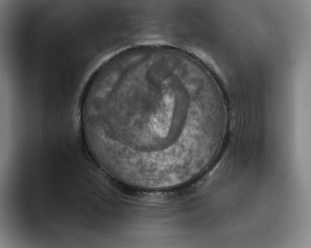 X0000091911167200709261710