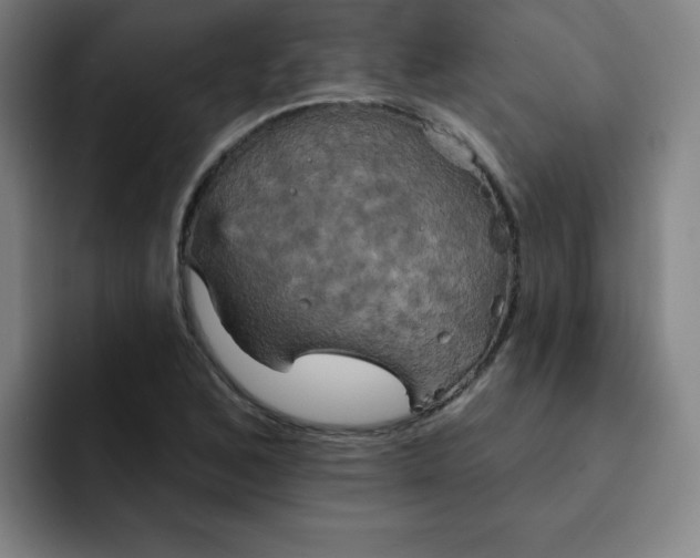 X0000091911168200709261710