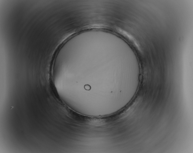 X0000091911170200709261710