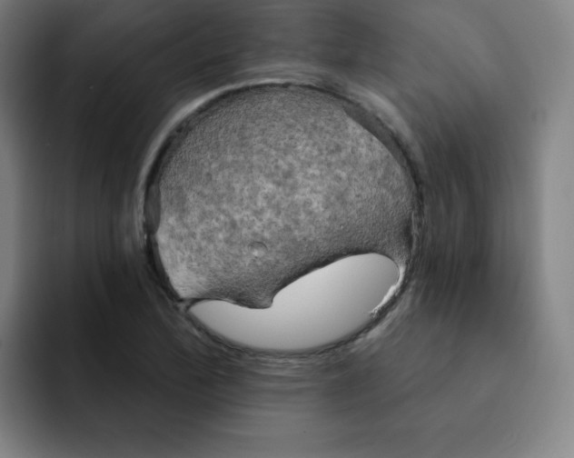 X0000091911172200709261710