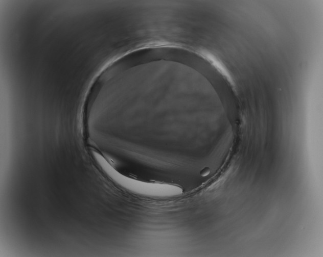 X0000091911173200709261710