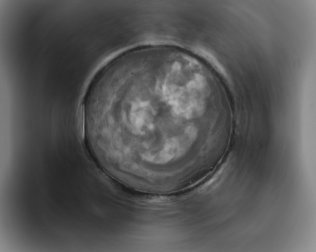 X0000091911175200709261710