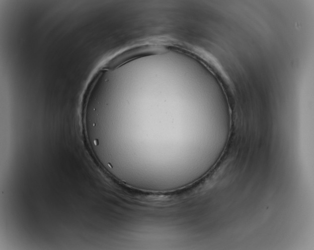 X0000091911176200709261710